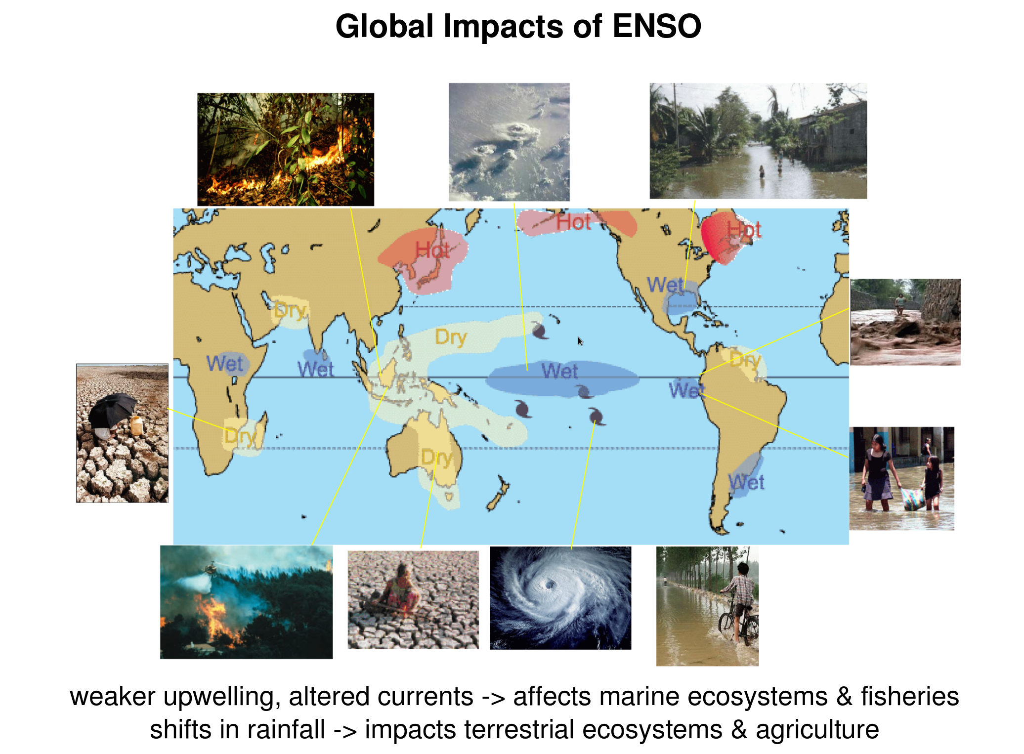 ENSO impacts